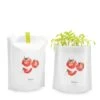 Tomato Growing Kit