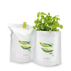 Peas Growing Kit