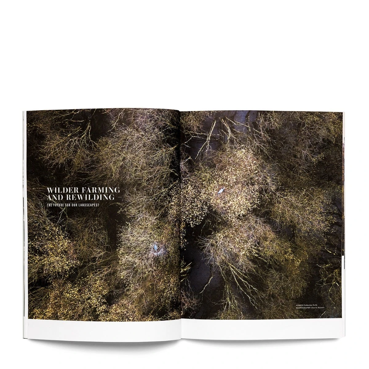 Seed Magazine Volume 3 3 Seed Magazine Volume 3 - Image 3