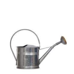 Small Watering Can