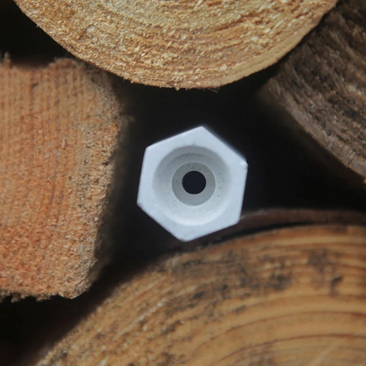 Bee Cells 2 Bee Cells - Image 2