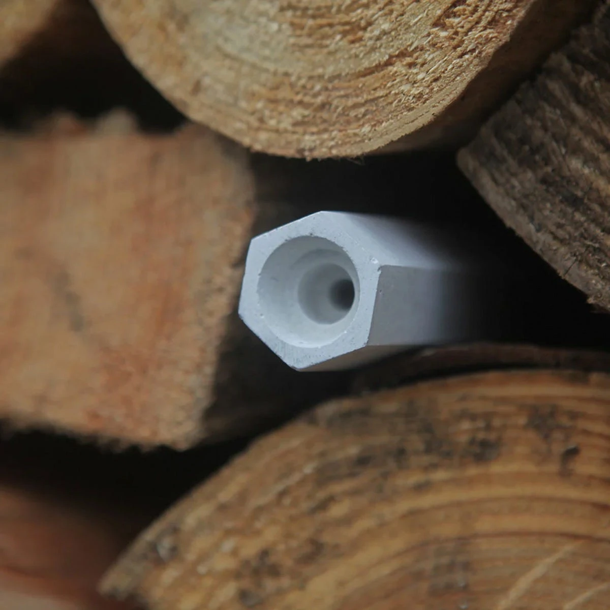 Bee Cells 3 Bee Cells - Image 3