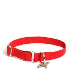Red Lucky Dog Collar