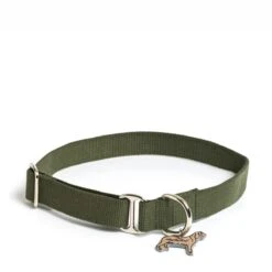 Khaki Lucky Dog Collar