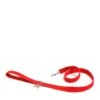 Red Lucky Dog Lead