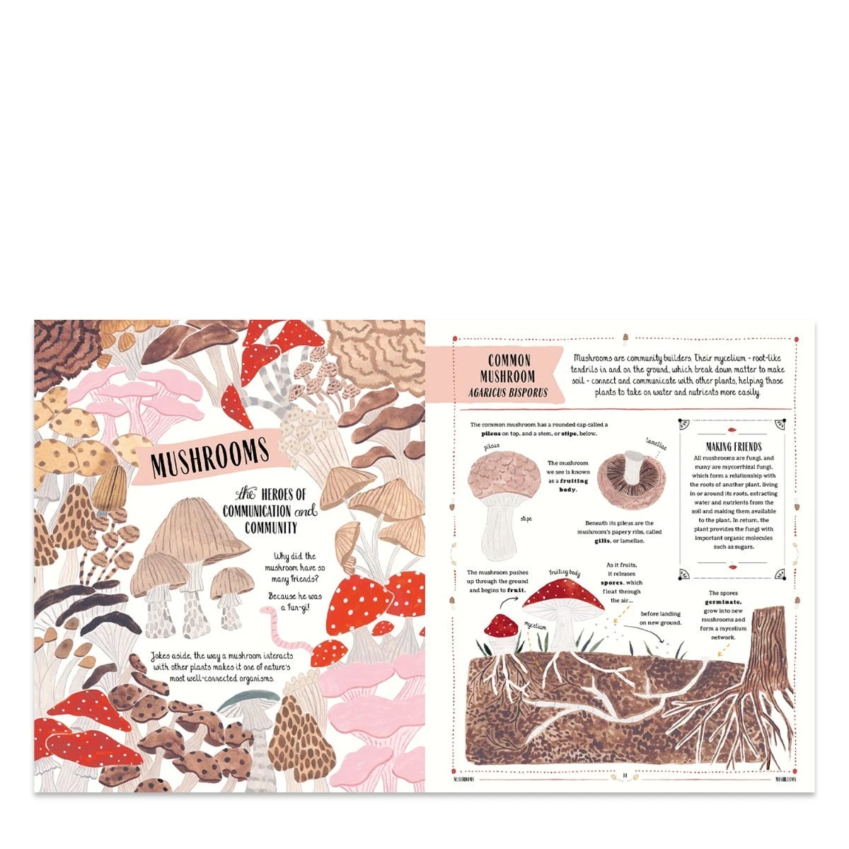 Grow: A First Guide To Plants Book 2 Grow: A First Guide To Plants Book - Image 2