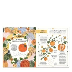 Grow: A First Guide To Plants Book 7 Grow: A First Guide To Plants Book -Gift Basket Shop 22022790 grow a first guide to plants book4