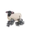 Sheep Dog Rope Toy