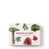 Match A Leaf A Tree Memory Game
