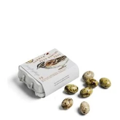 Chocolate Common Reed Bunting Bird Eggs