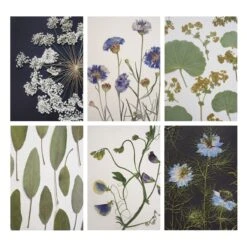 Daylesford X JamJar Edit Floral Greeting Card Set