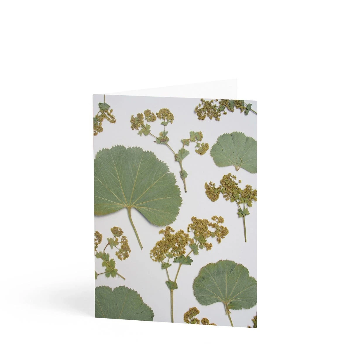 Daylesford X JamJar Edit Floral Greeting Card Set 4 Daylesford X JamJar Edit Floral Greeting Card Set - Image 4