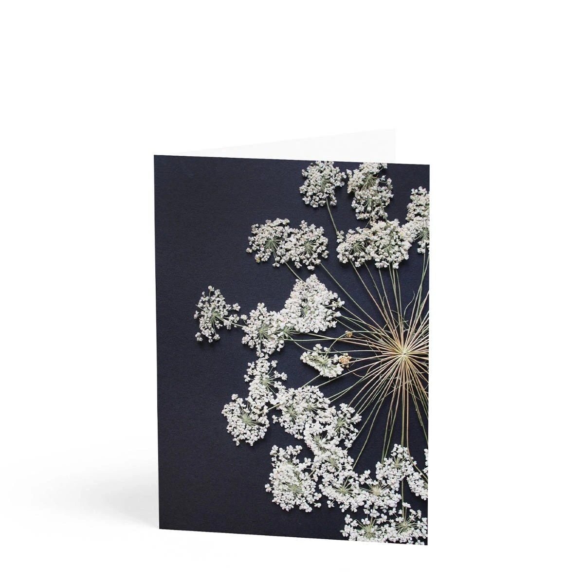 Daylesford X JamJar Edit Floral Greeting Card Set 2 Daylesford X JamJar Edit Floral Greeting Card Set - Image 2