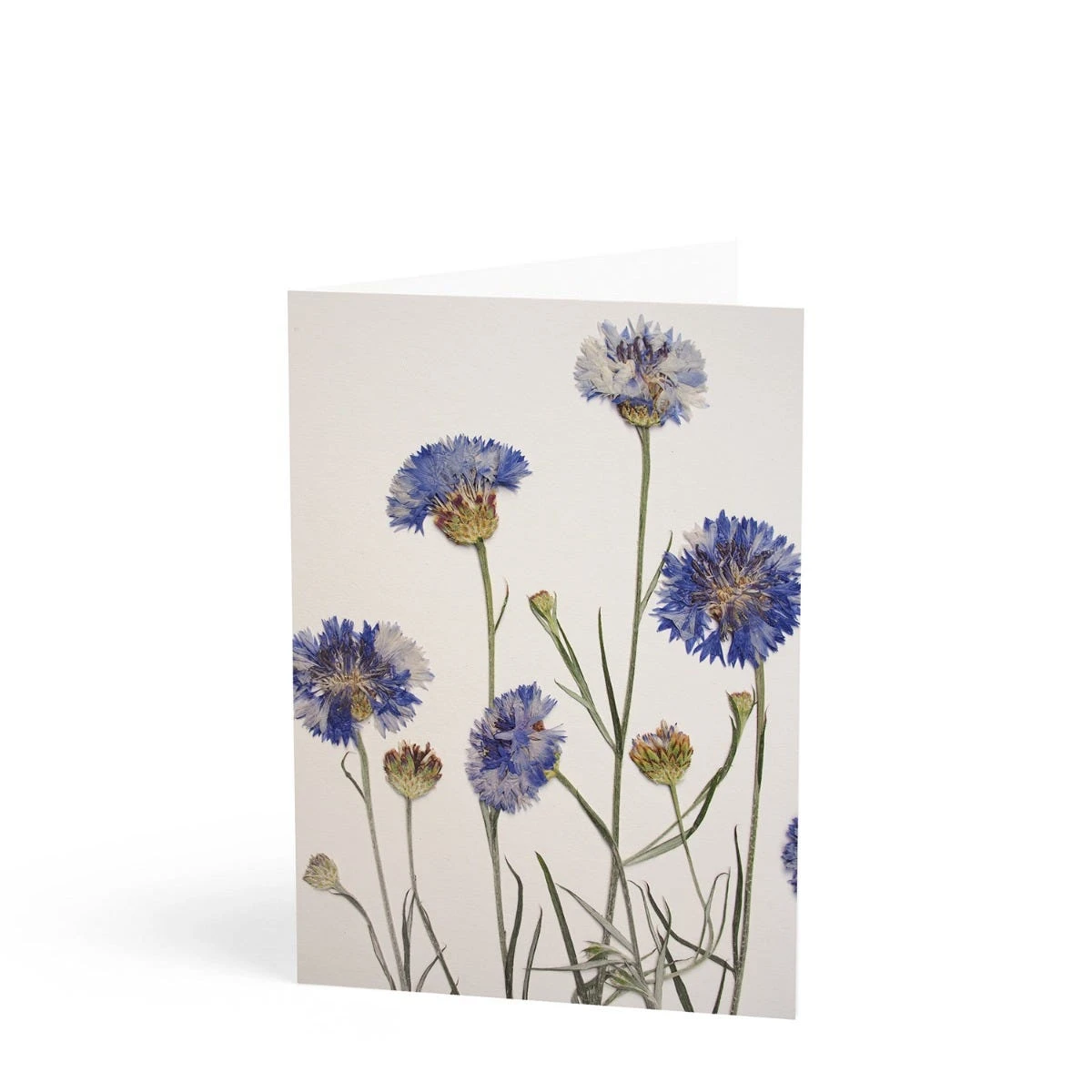 Daylesford X JamJar Edit Floral Greeting Card Set 3 Daylesford X JamJar Edit Floral Greeting Card Set - Image 3