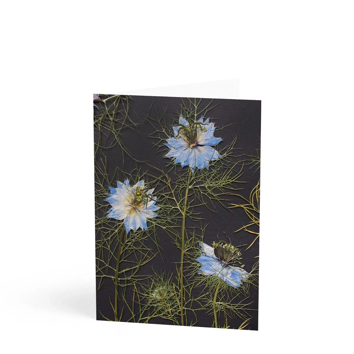 Daylesford X JamJar Edit Floral Greeting Card Set 7 Daylesford X JamJar Edit Floral Greeting Card Set - Image 7