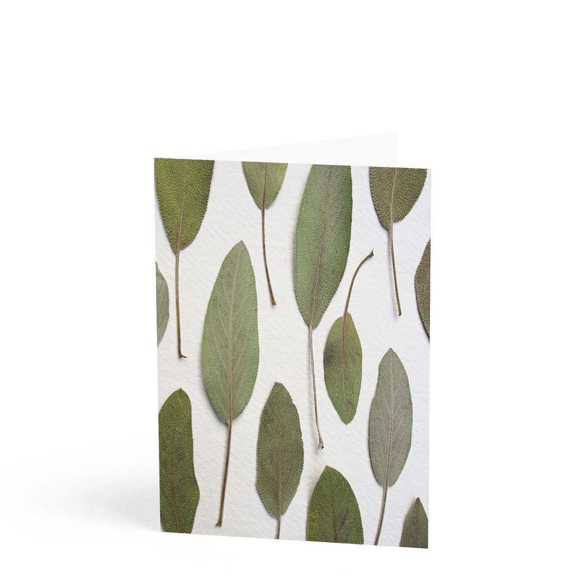 Daylesford X JamJar Edit Floral Greeting Card Set 5 Daylesford X JamJar Edit Floral Greeting Card Set - Image 5