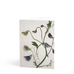 Daylesford X JamJar Edit Floral Greeting Card Set 12 Daylesford X JamJar Edit Floral Greeting Card Set -Gift Basket Shop 23003950 printed greetings card 6 set7