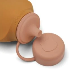 Smoothie Bottles Set -Gift Basket Shop 23004070 smoothie bottle mustard rose3