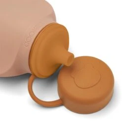 Smoothie Bottles Set -Gift Basket Shop 23004070 smoothie bottle mustard rose4