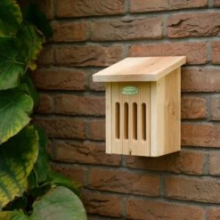 Butterfly Box 5 Butterfly Box -Gift Basket Shop 23009120 fsc butterfly box3