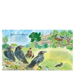 Royal Animals Illustrated Book -Gift Basket Shop 23010330 royal animals illustrated4