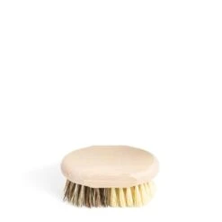 Household Bassin Brush