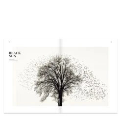 Seed Magazine Volume 5 11 Seed Magazine Volume 5 -Gift Basket Shop 23014190 seed magazine volume 5 6