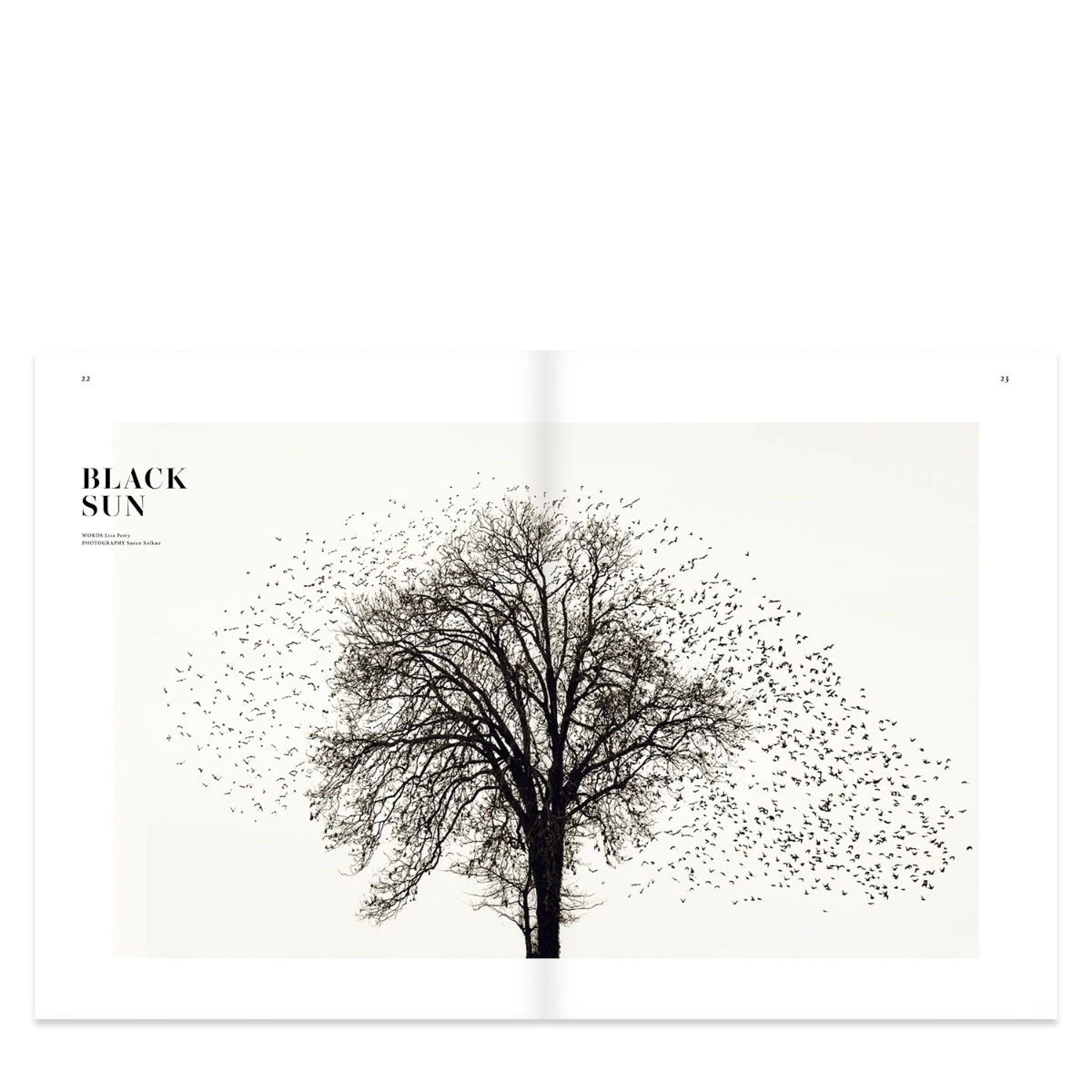 Seed Magazine Volume 5 6 Seed Magazine Volume 5 - Image 6