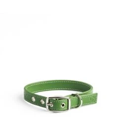 Apple Leather Collar Green Small