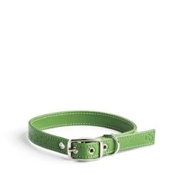 Apple Leather Collar Green Medium
