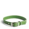 Apple Leather Collar Green X-Large
