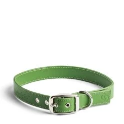 Apple Leather Collar Green X-Large