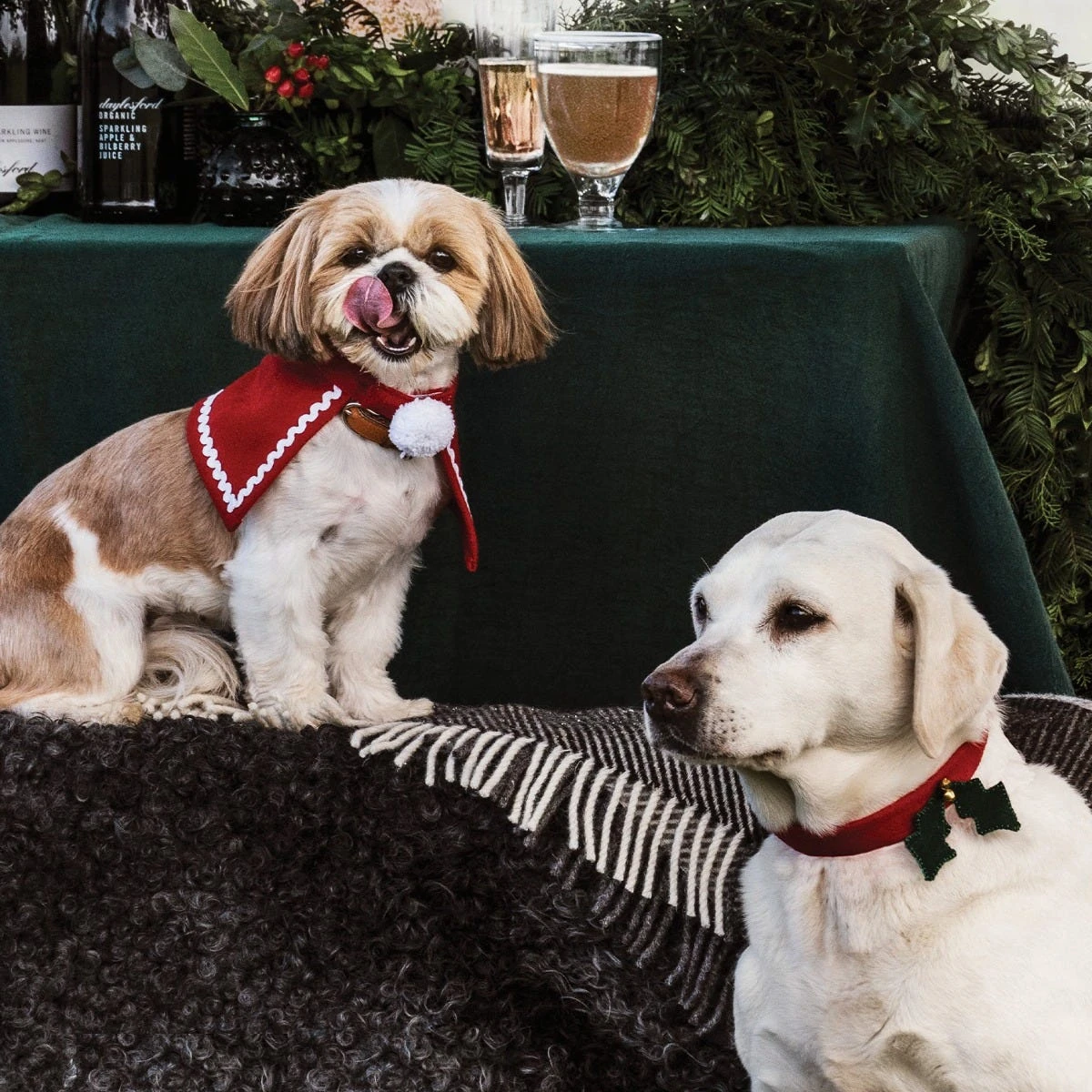 Christmas Animal Cape Large 2 Christmas Animal Cape Large - Image 2