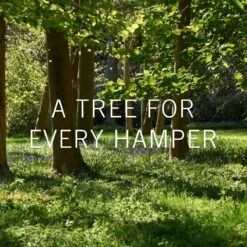 Thank You Hamper -Gift Basket Shop plant a tree gallery 5